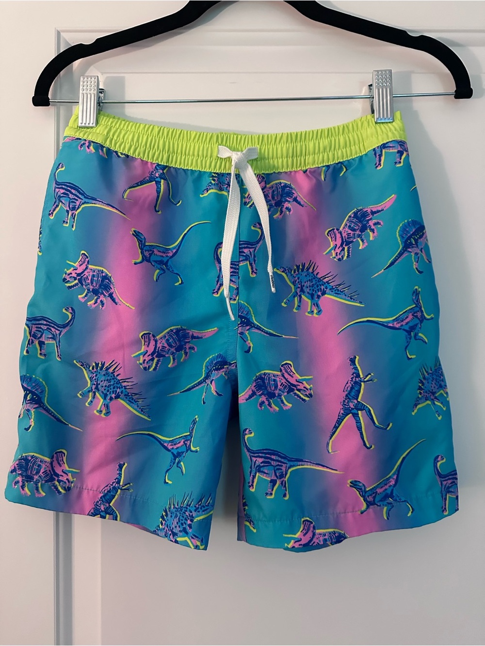chubbies Youth Swim Trunks - Dino Delights